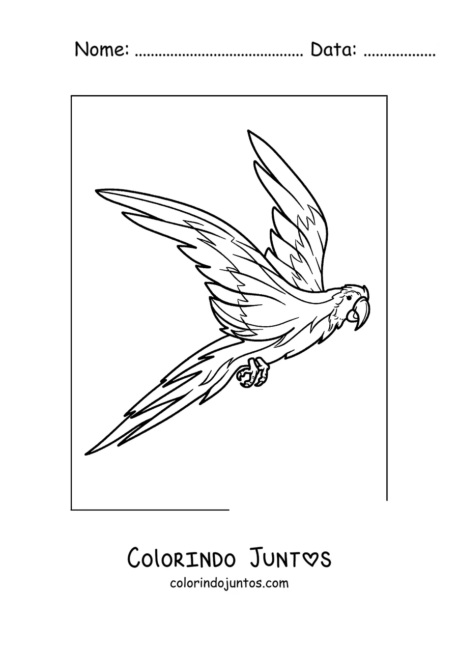 Desenho para colorir de um papagaio voando com as asas bem abertas