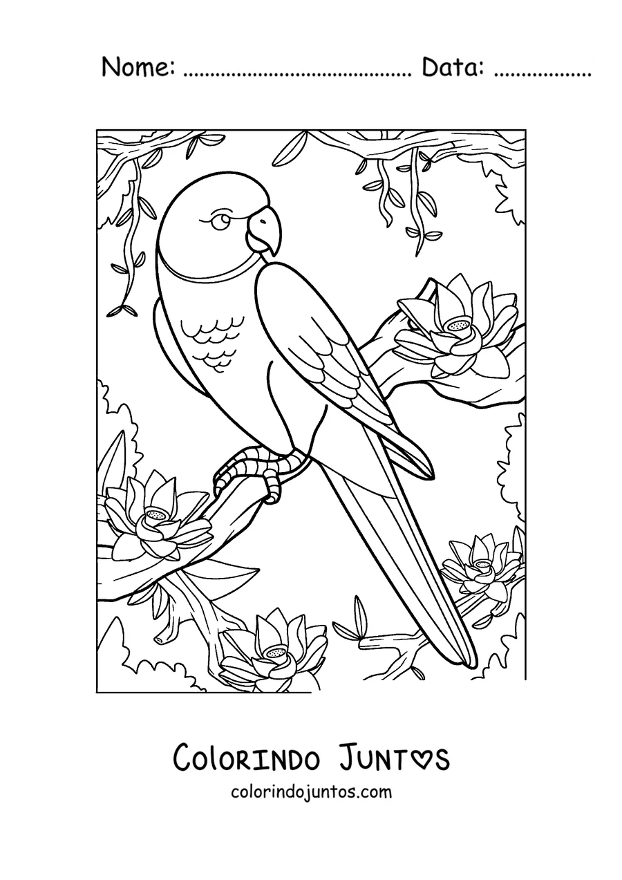 Desenho para colorir de um papagaio de cauda longa pousado em uma árvore