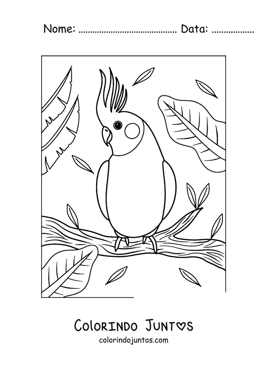 Desenho para colorir de um papagaio com topete pousado em um galho