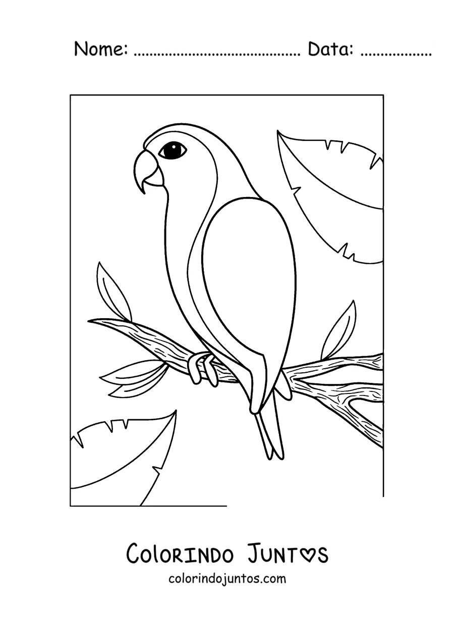 Desenho para colorir de um papagaio de contorno simples pousado