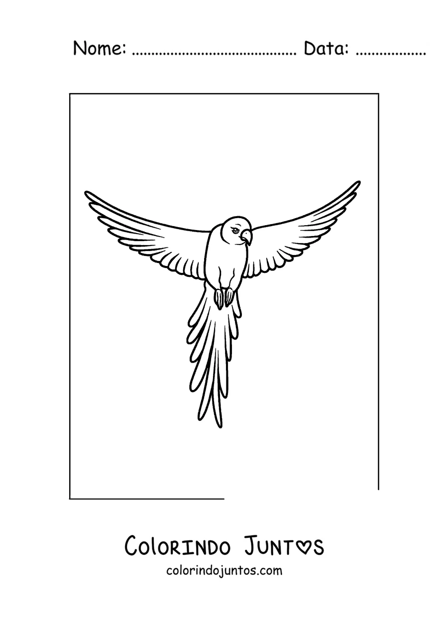 Desenho para colorir de um papagaio de contorno simples voando