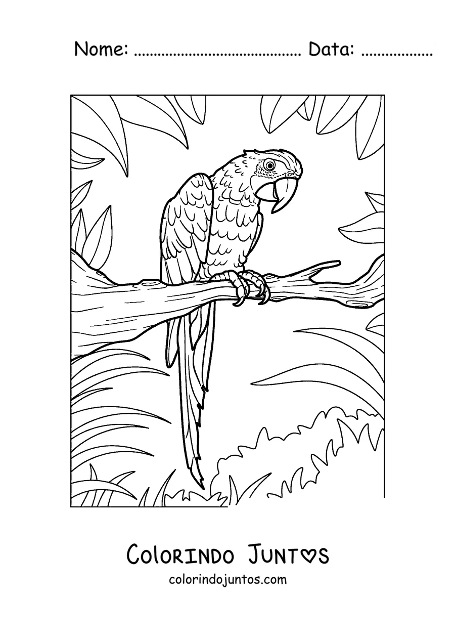 Desenho para colorir de um papagaio detalhado pousado em um galho com folhas