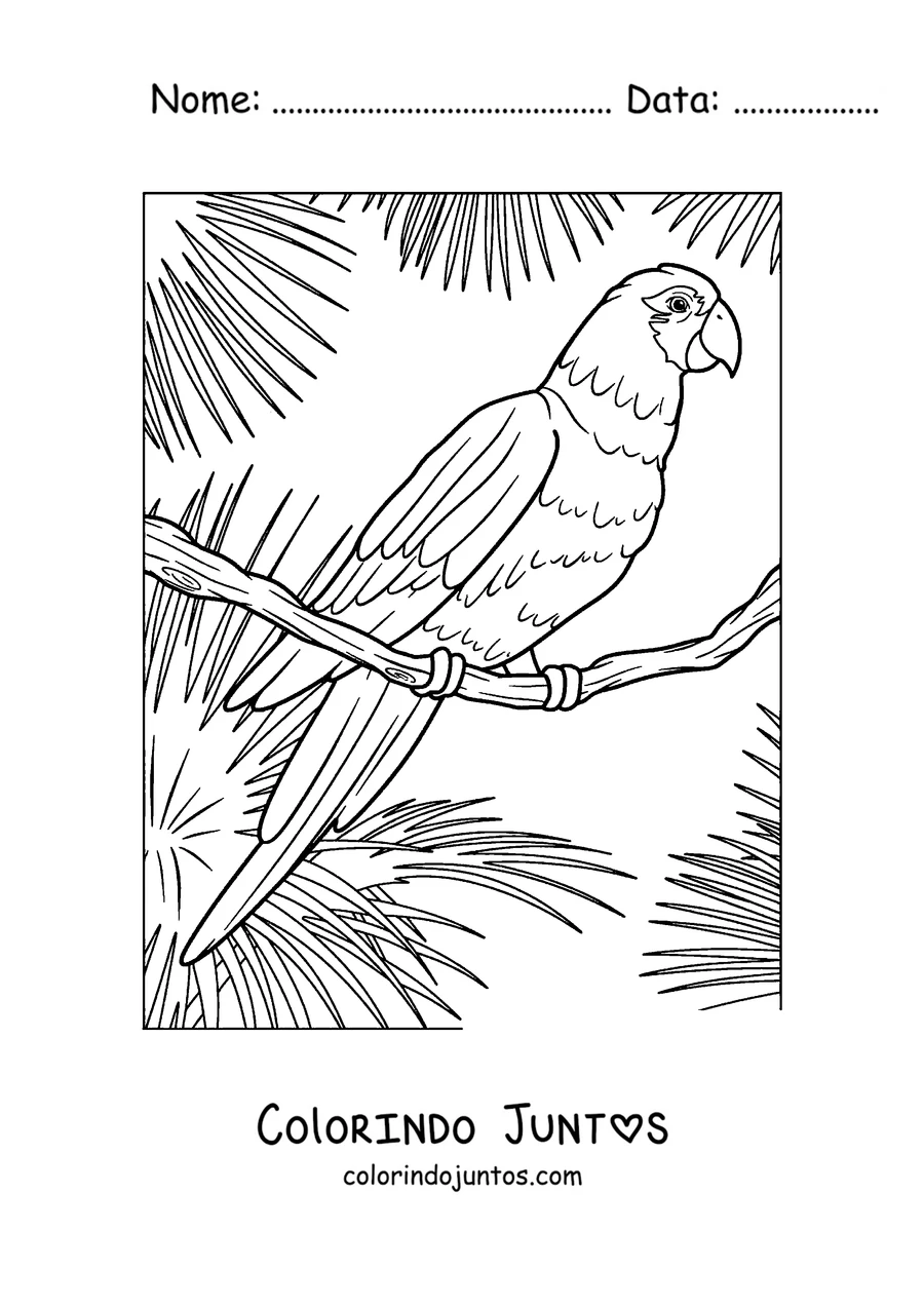 Desenho para colorir de um papagaio pousado entre folhas tropicais