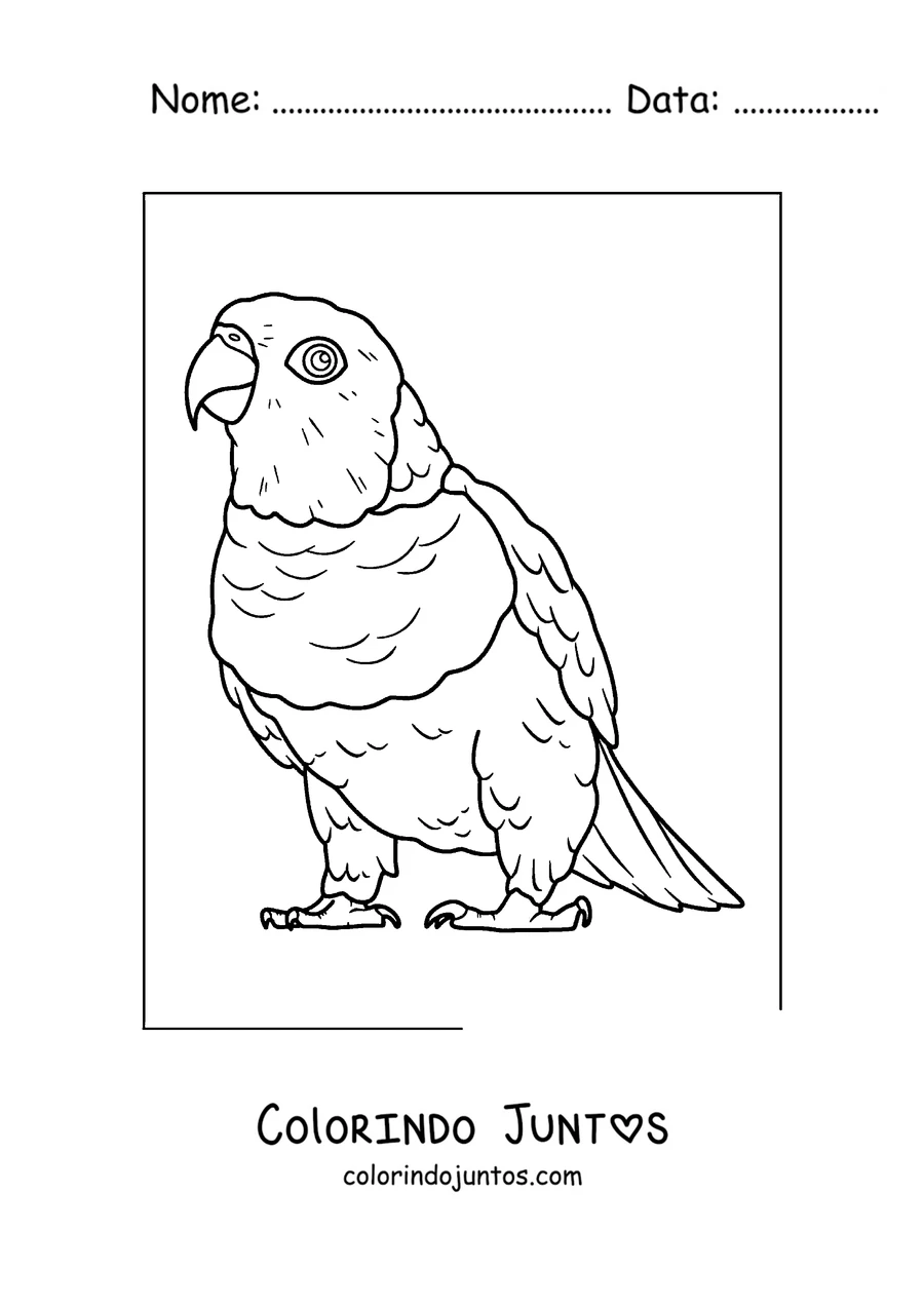 Desenho para colorir de um papagaio rechonchudo de corpo inteiro