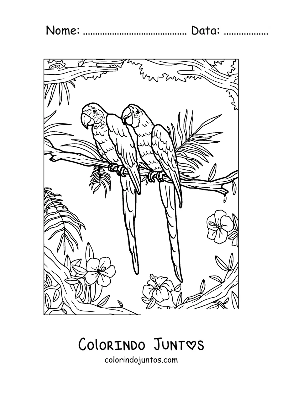 Desenho para colorir de dois papagaios pousados juntos em um galho