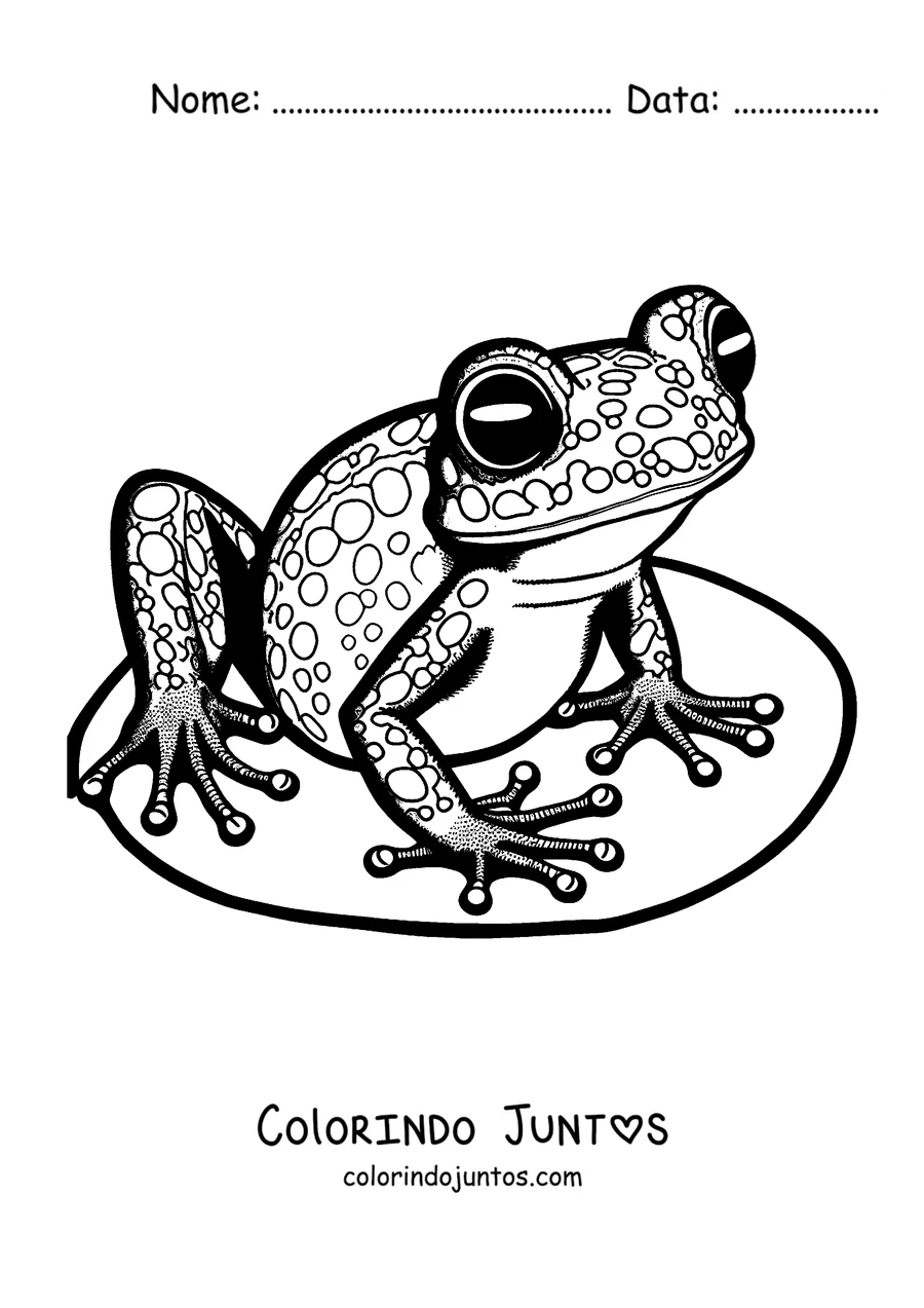 Desenho para colorir de uma perereca descansando num galho