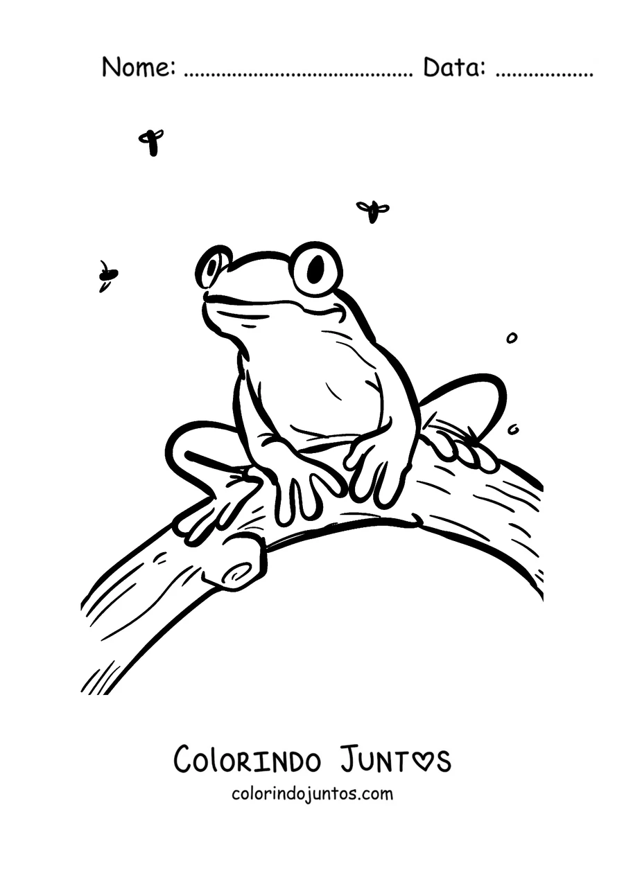 Desenho para colorir de uma perereca num galho cercada de insetos