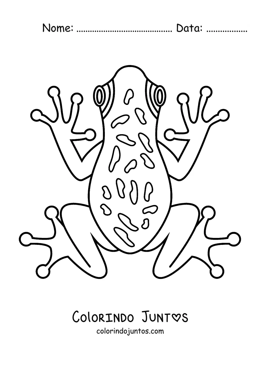 Desenho para colorir de uma perereca vista de cima
