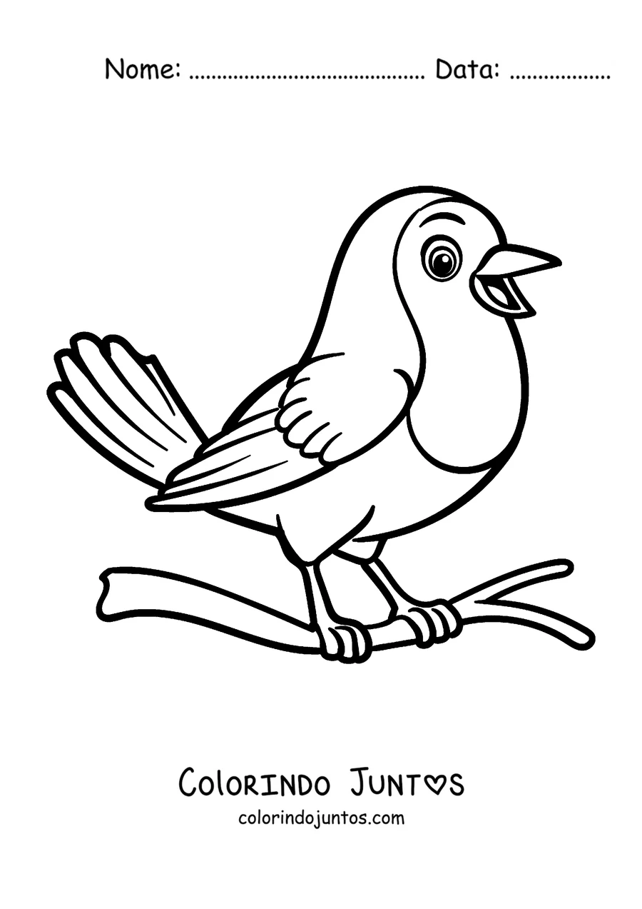 Desenho para colorir de um pisco-de-peito-ruivo cantando de bico aberto