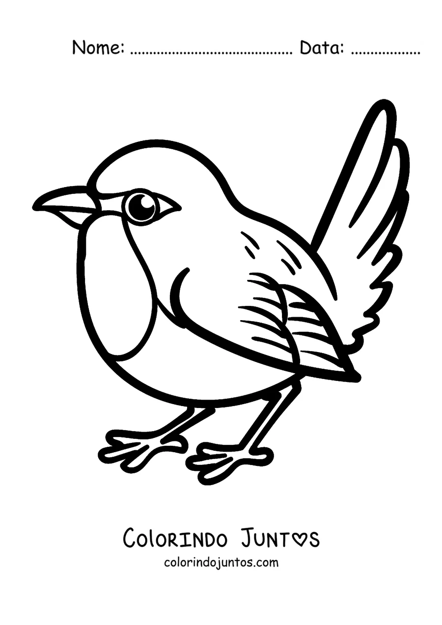Desenho para colorir de um pisco-de-peito-ruivo fofo com o rabinho erguido