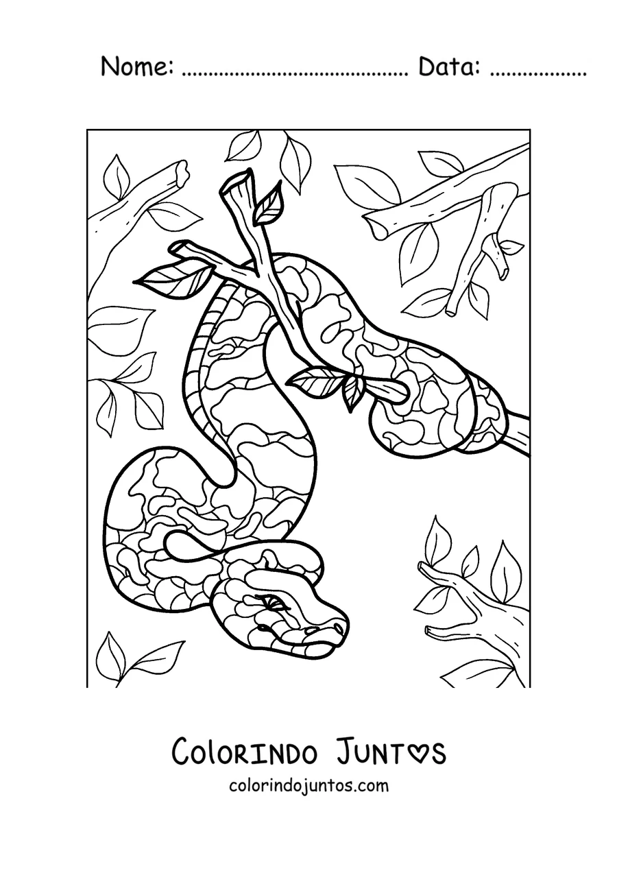 Desenho para colorir de uma píton pendurada numa árvore