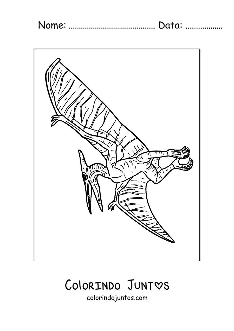 Desenho para colorir de um pterodáctilo pousado com as asas de pele detalhada