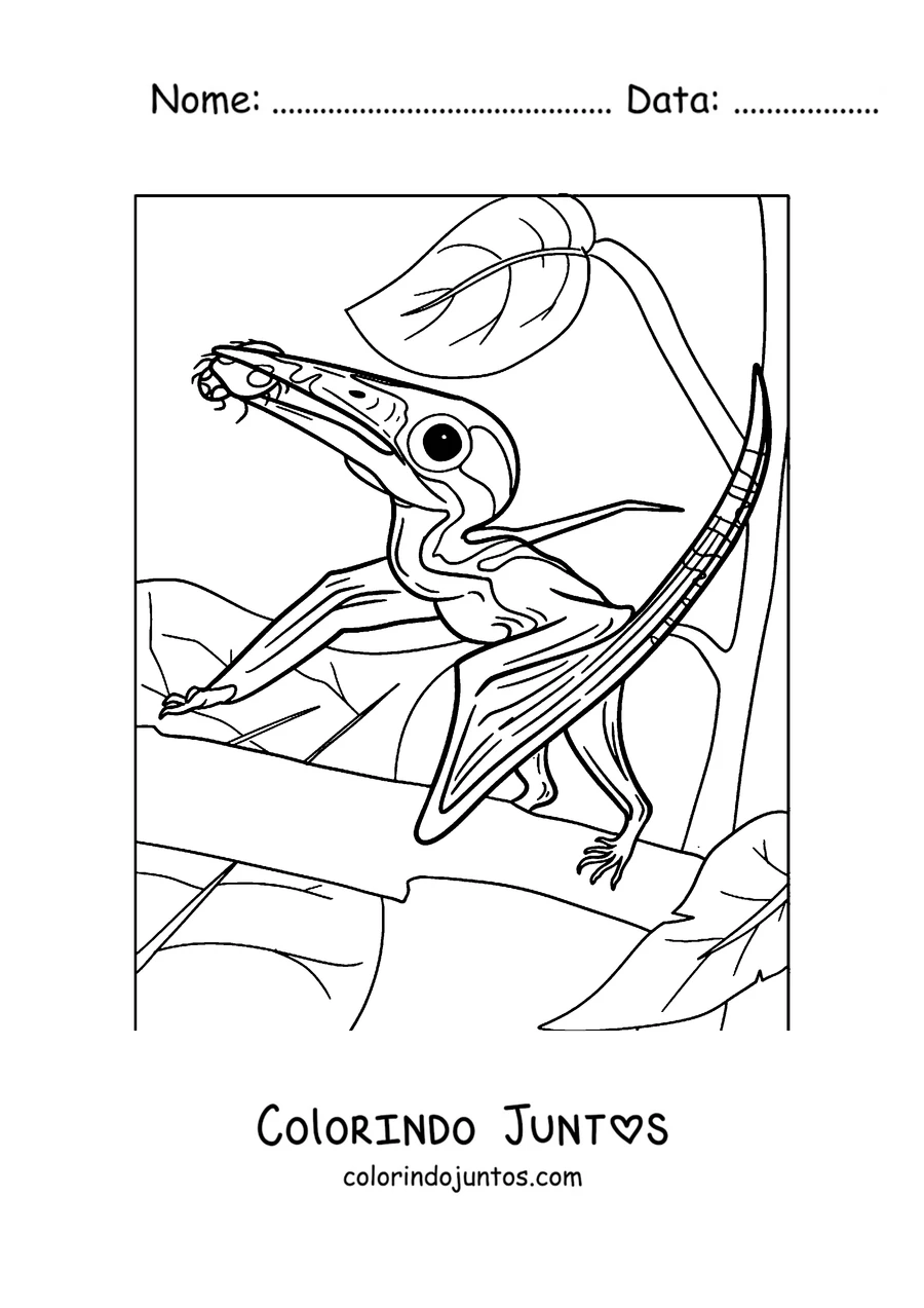 Desenho para colorir da cabeça de um pterodáctilo com a crista em primeiro plano