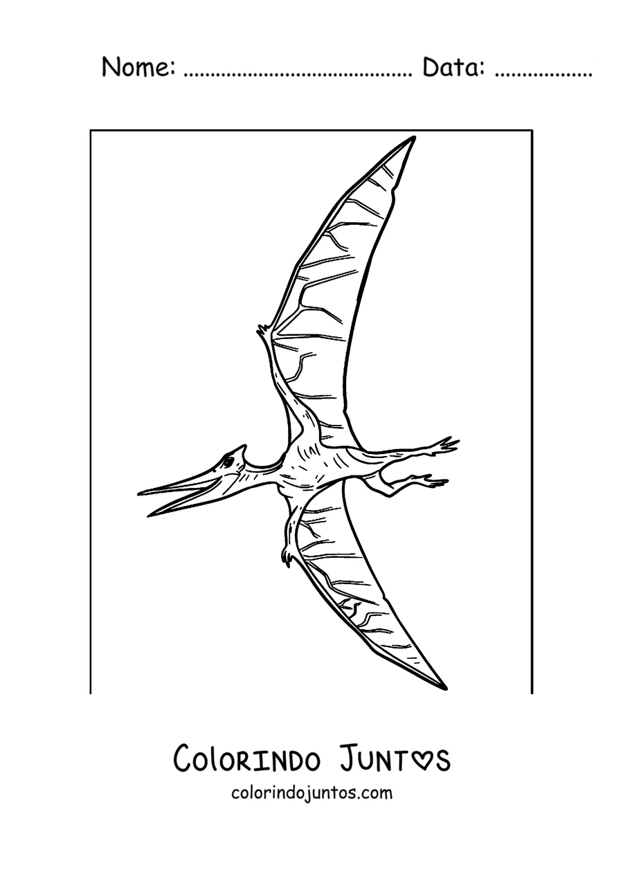 Desenho para colorir de um pterodáctilo simples voando no céu