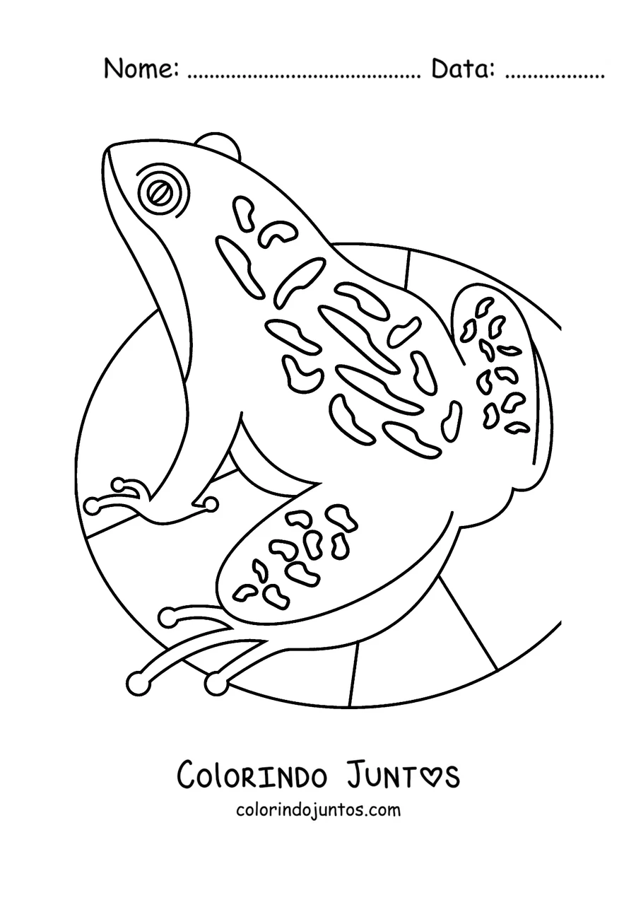 Desenho para colorir de um sapo com padrões de mandala numa folha aquática