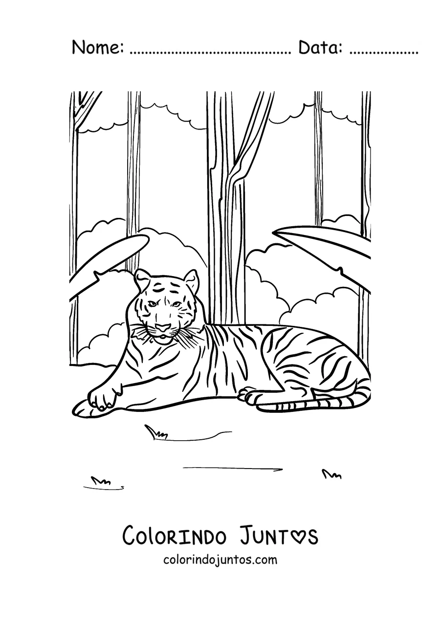 Desenho para colorir de um tigre descansando na selva