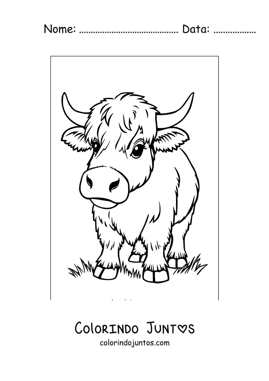Desenho para colorir de vaca highland peluda com chifres longos