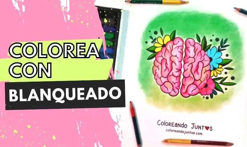 Branqueamento