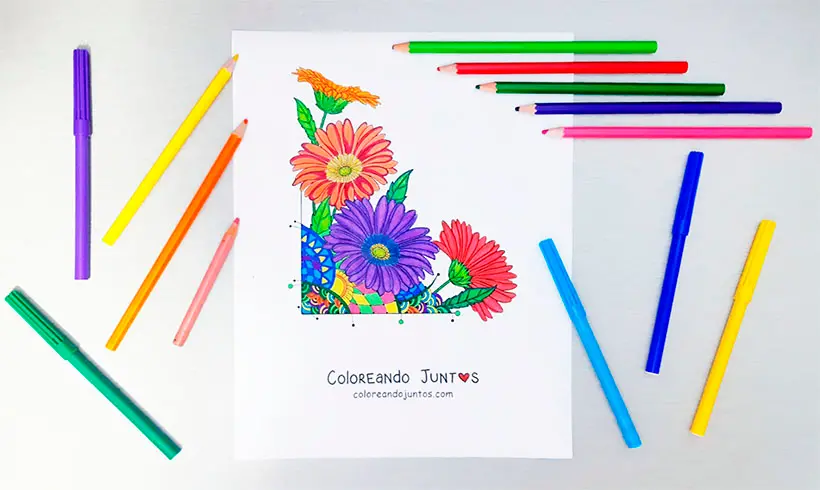 Desenho de margarida colorida pela Colorindo Juntos