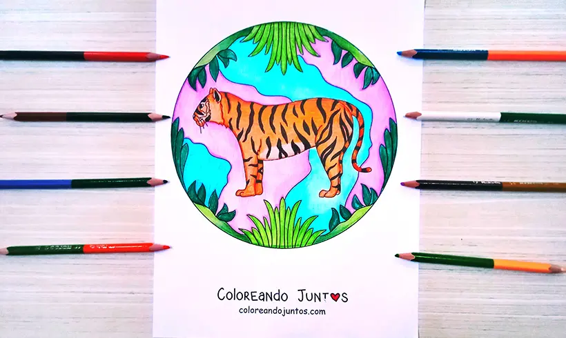 Desenho de selva colorida pela Colorindo Juntos