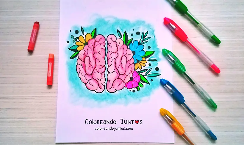 Desenho de cérebro colorido pela Colorindo Juntos