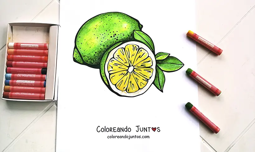 Desenho de limao colorido pela Colorindo Juntos