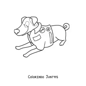 Desenho para colorir de um jack russell terrier deitado usando uma jaqueta
