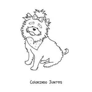 Desenho para colorir de um yorkshire terrier sentado usando uma bandana e um laço