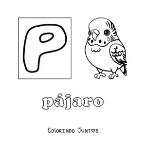 Desenho para colorir de P de pássaro