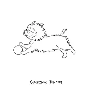 Desenho para colorir de um yorkshire terrier correndo atrás de uma bola