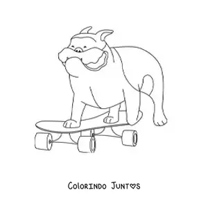 Desenho para colorir de um buldogue andando de skate
