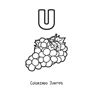 Desenho para colorir da letra U de uvas