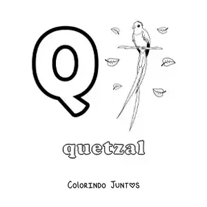 Desenho para colorir da letra Q de quetzal