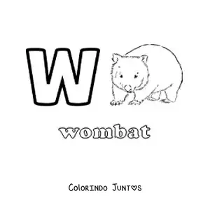 Desenho para colorir da letra W de vombate