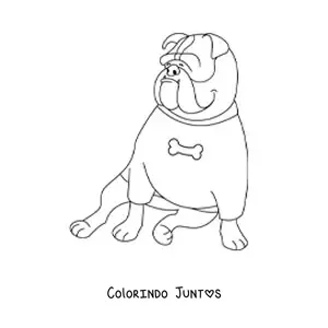 Desenho para colorir de um buldogue sentado com uma camisa com um osso estampado