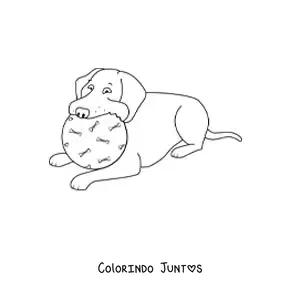 Desenho para colorir de um labrador deitado mordendo uma bola