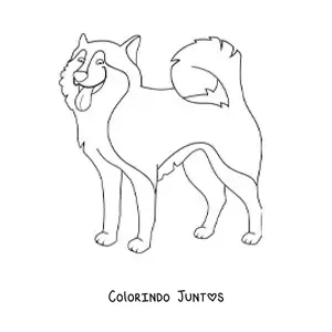 Desenho para colorir de um husky