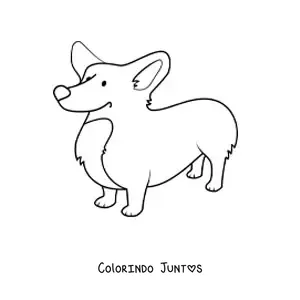 Desenho para colorir de um corgi