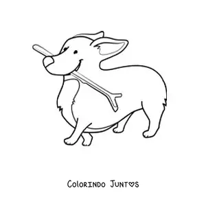 Desenho para colorir de um corgi mordendo um galho
