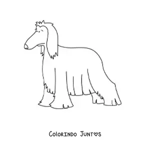 Desenho para colorir de um galgo afegão