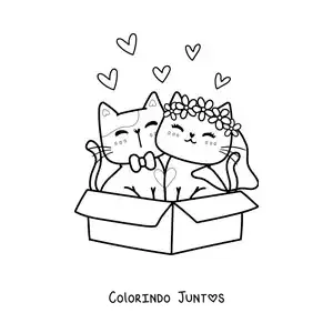 Desenho para colorir de gatinhos fofos recém-casados sentados em uma caixa