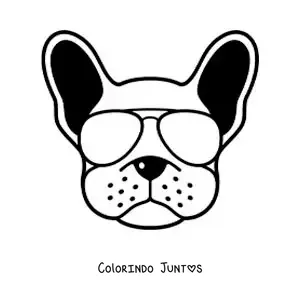 Desenho para colorir de cachorro animado com óculos descolados