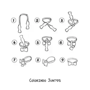 Desenho para colorir de passos para dar o nó de uma gravata-borboleta