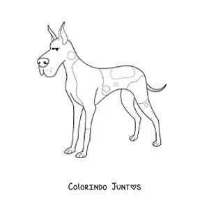Desenho para colorir de um dogue alemão