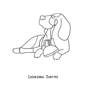 Desenho para colorir de um basset hound deitado brincando com um sapato