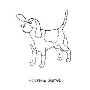 Desenho para colorir de um basset hound