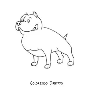 Desenho para colorir de um pitbull