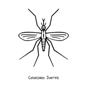 Desenho para colorir de um mosquito da dengue