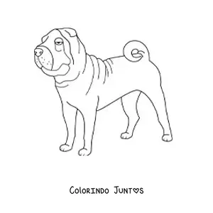 Desenho para colorir de um shar pei