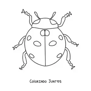 Desenho para colorir de uma joaninha realista